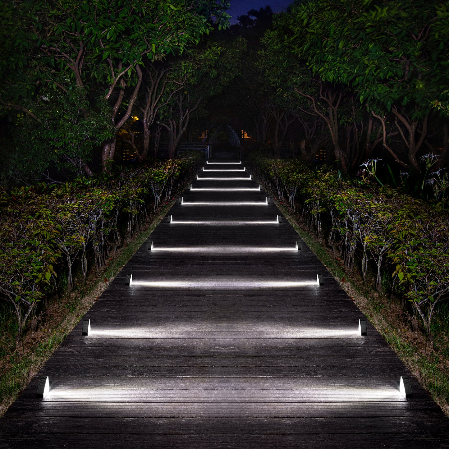 🌞 Solar Step Wall Lights (Pack of 2) – Waterproof Outdoor LED | Warm & White Light Options